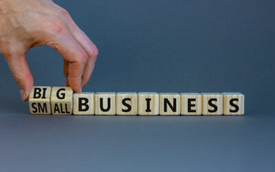 The Basics About Calculating Small GovCon Business Size